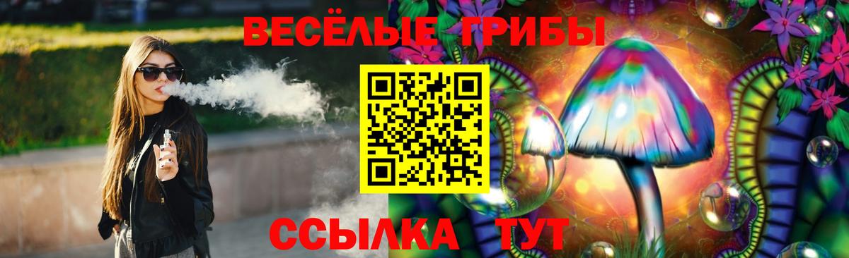 закладка  Псилоцибиновые грибы мухоморы  Вход с VPN  Нальчик 